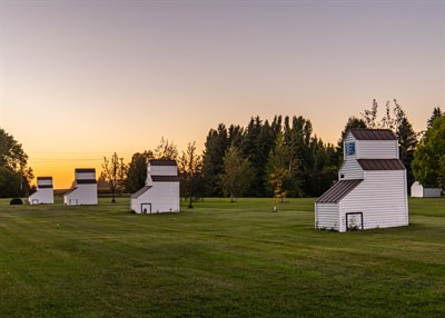 Comte-M-Swan-Lake-Grain(1)